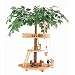 Basic Treehouse