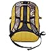 Realtree 4 Compartment Backpack