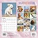 Golden Retrievers Calendar - 2016 Wall calendars - Dog Calendars - Monthly Wall Calendar by Magnum