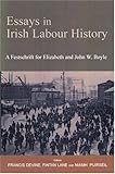 Essays in Irish labour history : a festschrift for Elizabeth and John W. Boyle