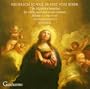 Biber: The Mystery Sonatas, Vol. 2: Nos. 10-16