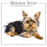 \"Yorkshire