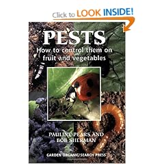 Pests: How to Control Them on Fruit and Vegetables