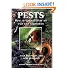 Pests: How to Control Them on Fruit and Vegetables