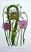 C1870 Anne Pratt Flower Plants Chive Bulbiferous Garlic