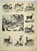 Chamios Hunters Pallah Indian Antelope Madoqua Print