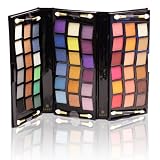 Shany 2011 All In One Makeup Set, Shimmer Blend, Leather Case, Limited, 11-Ounce