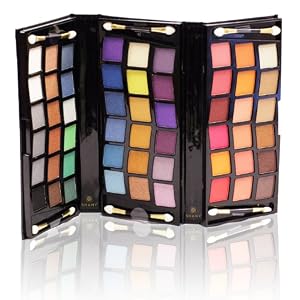 Shany 2011 All In One Makeup Set, Shimmer Blend, Leather Case, Limited, 11-Ounce