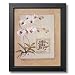Long Life Asian Feng Shui Flower Floral Home Decor Wall Picture Framed Art Print