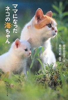 ママになったネコの海(カイ)ちゃん (ポプラ文庫)