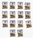 Search : Little House on the Prairie Stamps