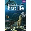 First Life - L'Origine Della Vita