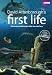 First Life - L'Origine Della Vita