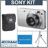 Sony Cyber-shot DSC-W170 Point & Shoot Digital Camera kit, Silver with 2 GB Memory Stick, Camera Case, Table Top Tripod