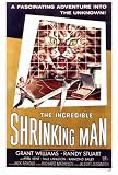 The Incredible Shrinking Man - Movie Poster - 27 x 40