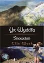 Yr WyddfaSnowdon