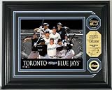 Toronto Blue Jays Team Force 24KT Gold Coin Photo Mint