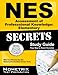 NES Assessment of Professional Knowledge: Elementary Secrets Study Guide: NES Test Review for the National Evaluation Series Tests