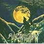 Nattens Madrigal von Ulver
