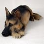 Tan & Black German Shepherd My Dog Figurine