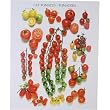 Les Tomates ~ Assortment of Tomatoes Heavy Cardstock Poster