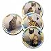 Country Pets/Cats Assorted Round Stone Coaster Set