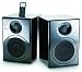 Sierra Sound IN Studio 5.0 Ins5B iPod Speaker Dock (Black)