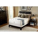 Sealy Ruthwood Plush Euro Pillowtop Queen-Size Mattress Set