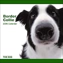 Border Collie 2009 Calendar