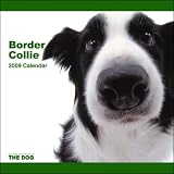 2009 Border Collie ARTLIST Square Wall Calendar