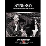 Synergyby Brad Pattison