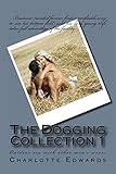 The Dogging Collection 1: Outdoor sex with other men's wives