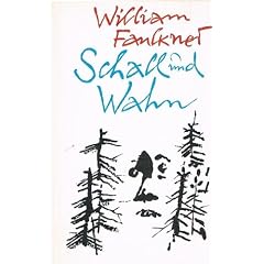 Schall und Wahn - Roman