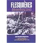 The Battle for Flesquieres Ridge (Battleground Europe)