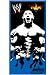 Zap WWE Baptita Towel