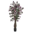 6' Multi Vine Bougainvillea Silk Tree