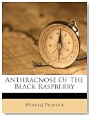 Anthracnose Of The Black Raspberry