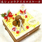 生チョコがのった濃厚ショコラムースとたっぷりベリーの生ショコラケーキ