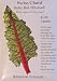 Ruby Red Rhubarb Heirloom Swiss Chard Seeds 100 Seeds