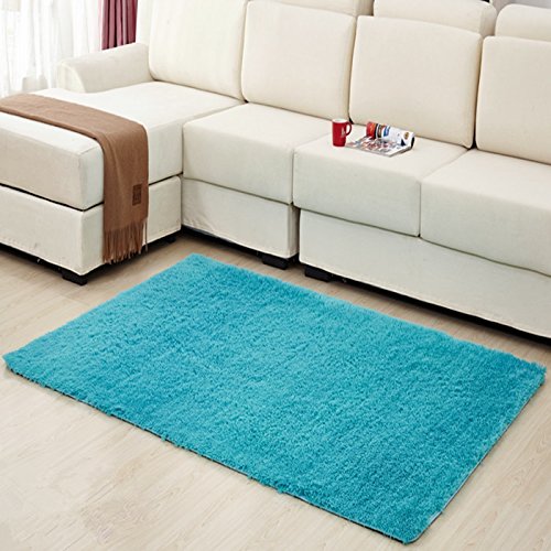 Hughapy Home Decorator Modern Shag Area Rugs Super Soft Solid Living Room Carpet Bedroom Rug and Carpets,80 120cm(Blue)