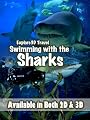 Explore3D Travel : Swimming with the Sharks
