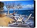 Beach Driftwood Fine Art Photography Canvas Print / Canvas Art - Artist James Bo Insogna