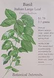 Large Leaf Italian Basil Heirloom Seeds