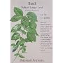 Large Leaf Italian Basil Heirloom Seeds