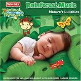 Rainforest Music: Nature's Lullabies