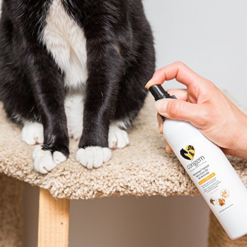 Corigem Balm Pet Wound, Itch, and Infection Skin Care Great Antiseptic & Antifungal Spray