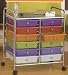 12 Drawer Rolling Storage Cart