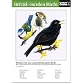 British Garden Birds: The Instant Guide (Instant Guides)