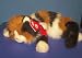   - Ty Beanie Buddy Maggie the Cat