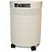 Airpura UV600 Microorganisms Filtration Air Purifier